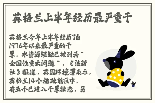HD2中国成熟iPhone69